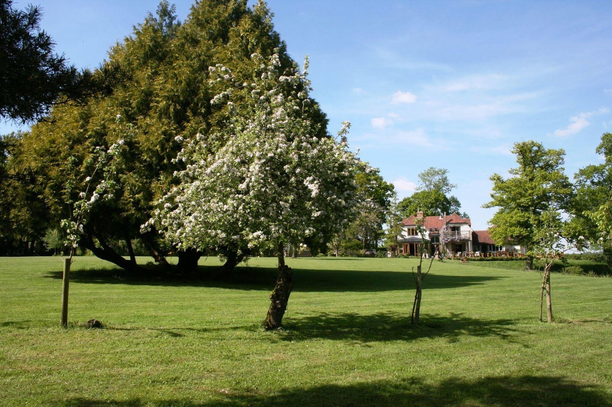 Shoyswell Cottage Hurst Green Kültér fotó